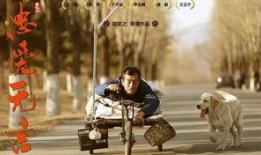 忠爱无言在线观看,感人至深的动物情感故事